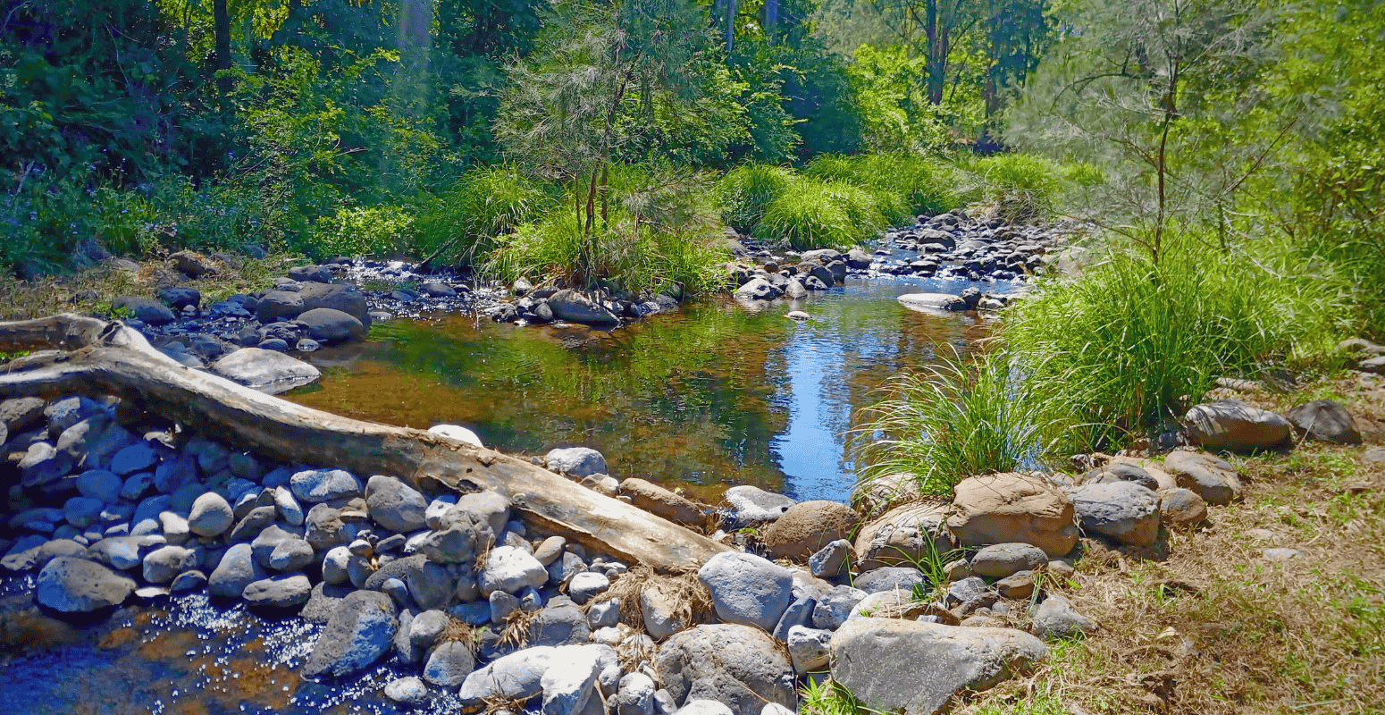 Sustainability and Regeneration: Expanding STEMM Leadership for Planetary Health