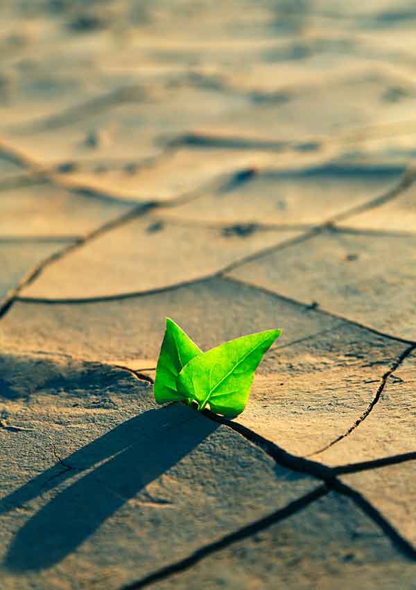 Climate change image with leaf